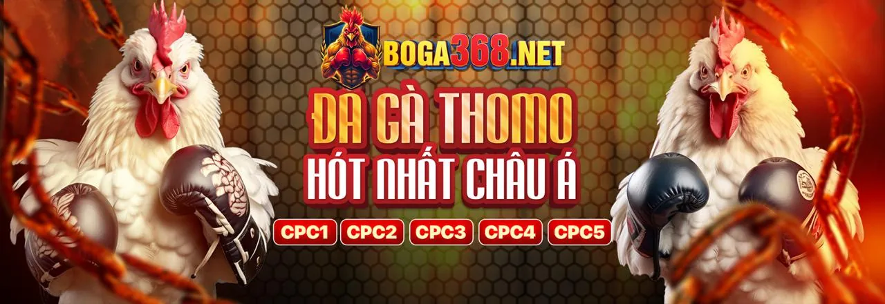 Tỷ lệ cược đá gà hấp dẫn